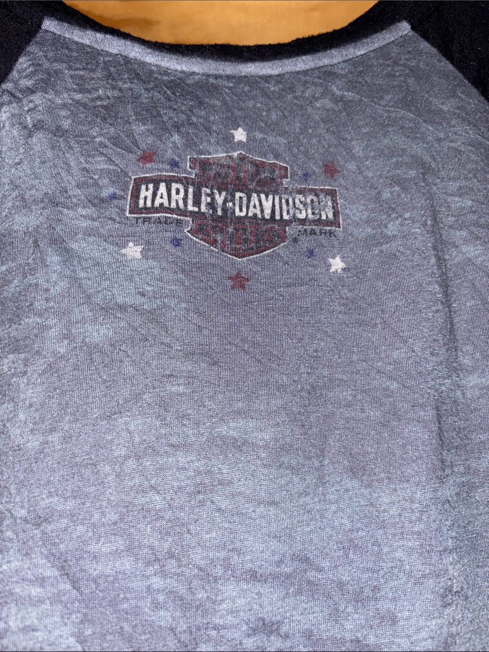 Harley-Davidson Gray and Black Short Sleeve Graphic Tee - Picture 7 of 8